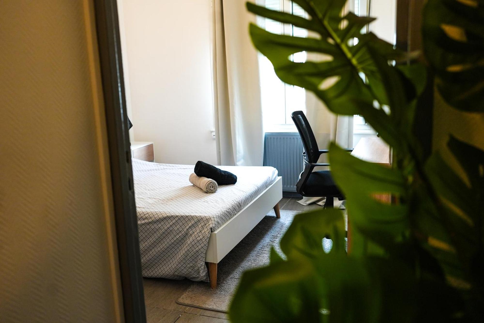Appartement Temis Et Centre Ville Avec Parking-Wifi Безансон Екстериор снимка